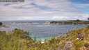 ./images/calvert/foggy-cove/20260710/foggy-cove20260710_134502M.jpg