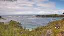 ./images/calvert/foggy-cove/20260710/foggy-cove20260710_135502M.jpg