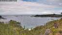 ./images/calvert/foggy-cove/20260710/foggy-cove20260710_143501M.jpg