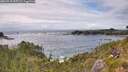 ./images/calvert/foggy-cove/20260710/foggy-cove20260710_155501M.jpg