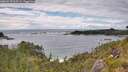 ./images/calvert/foggy-cove/20260710/foggy-cove20260710_163501M.jpg