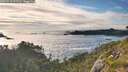 ./images/calvert/foggy-cove/20260710/foggy-cove20260710_193501M.jpg