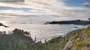 ./images/calvert/foggy-cove/20260710/foggy-cove20260710_194501M.jpg