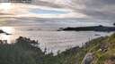 ./images/calvert/foggy-cove/20260710/foggy-cove20260710_200501M.jpg