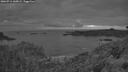./images/calvert/foggy-cove/20260711/foggy-cove20260711_045001M.jpg