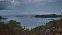 ./images/calvert/foggy-cove/20260711/foggy-cove20260711_050501M.jpg