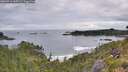 ./images/calvert/foggy-cove/20260711/foggy-cove20260711_065502M.jpg