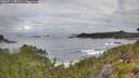 ./images/calvert/foggy-cove/20260711/foggy-cove20260711_080501M.jpg