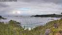 ./images/calvert/foggy-cove/20260711/foggy-cove20260711_083002M.jpg
