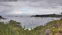 ./images/calvert/foggy-cove/20260711/foggy-cove20260711_083501M.jpg