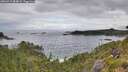 ./images/calvert/foggy-cove/20260711/foggy-cove20260711_084002M.jpg