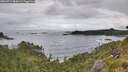 ./images/calvert/foggy-cove/20260711/foggy-cove20260711_084501M.jpg