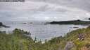 ./images/calvert/foggy-cove/20260711/foggy-cove20260711_085001M.jpg