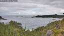 ./images/calvert/foggy-cove/20260711/foggy-cove20260711_085501M.jpg