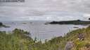 ./images/calvert/foggy-cove/20260711/foggy-cove20260711_090501M.jpg