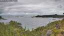 ./images/calvert/foggy-cove/20260711/foggy-cove20260711_092501M.jpg