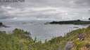 ./images/calvert/foggy-cove/20260711/foggy-cove20260711_093002M.jpg