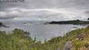 ./images/calvert/foggy-cove/20260711/foggy-cove20260711_093501M.jpg