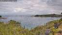 ./images/calvert/foggy-cove/20260711/foggy-cove20260711_102001M.jpg
