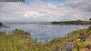 ./images/calvert/foggy-cove/20260711/foggy-cove20260711_102501M.jpg