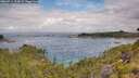 ./images/calvert/foggy-cove/20260711/foggy-cove20260711_103001M.jpg