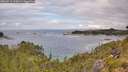 ./images/calvert/foggy-cove/20260711/foggy-cove20260711_114501M.jpg