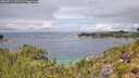 ./images/calvert/foggy-cove/20260711/foggy-cove20260711_123501M.jpg