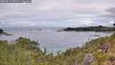 ./images/calvert/foggy-cove/20260711/foggy-cove20260711_132501M.jpg