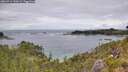 ./images/calvert/foggy-cove/20260711/foggy-cove20260711_144501M.jpg