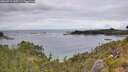 ./images/calvert/foggy-cove/20260711/foggy-cove20260711_145501M.jpg