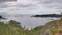 ./images/calvert/foggy-cove/20260711/foggy-cove20260711_164501M.jpg