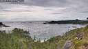 ./images/calvert/foggy-cove/20260711/foggy-cove20260711_173501M.jpg