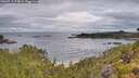 ./images/calvert/foggy-cove/20260712/foggy-cove20260712_074002M.jpg