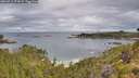 ./images/calvert/foggy-cove/20260712/foggy-cove20260712_074501M.jpg