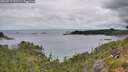 ./images/calvert/foggy-cove/20260712/foggy-cove20260712_101501M.jpg