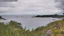 ./images/calvert/foggy-cove/20260712/foggy-cove20260712_102501M.jpg