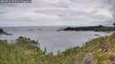 ./images/calvert/foggy-cove/20260712/foggy-cove20260712_103501M.jpg