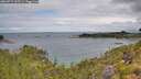 ./images/calvert/foggy-cove/20260712/foggy-cove20260712_105501M.jpg