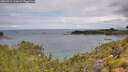 ./images/calvert/foggy-cove/20260712/foggy-cove20260712_110001M.jpg