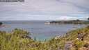 ./images/calvert/foggy-cove/20260712/foggy-cove20260712_120501M.jpg