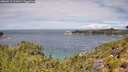 ./images/calvert/foggy-cove/20260712/foggy-cove20260712_121002M.jpg