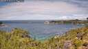./images/calvert/foggy-cove/20260712/foggy-cove20260712_121501M.jpg