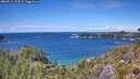 ./images/calvert/foggy-cove/20260712/foggy-cove20260712_134501M.jpg