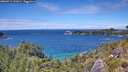 ./images/calvert/foggy-cove/20260712/foggy-cove20260712_141001M.jpg