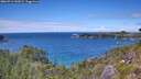 ./images/calvert/foggy-cove/20260712/foggy-cove20260712_142001M.jpg
