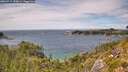 ./images/calvert/foggy-cove/20260712/foggy-cove20260712_150001M.jpg