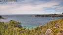 ./images/calvert/foggy-cove/20260712/foggy-cove20260712_150501M.jpg