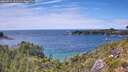 ./images/calvert/foggy-cove/20260712/foggy-cove20260712_152502M.jpg