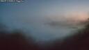 ./images/calvert/foggy-cove/20260713/foggy-cove20260713_045001M.jpg