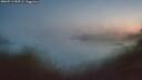 ./images/calvert/foggy-cove/20260713/foggy-cove20260713_045501M.jpg
